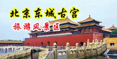村妓外国大鸡巴中国北京-东城古宫旅游风景区